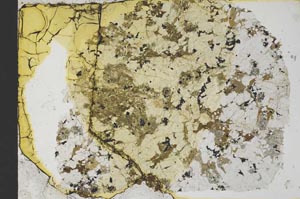 Plane Polarized, S37767