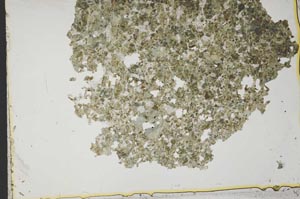 Plane Polarized, S37768