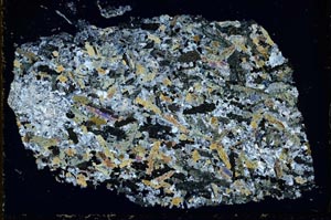 Cross Polarized, S37769