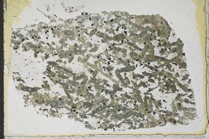 Plane Polarized, S37769