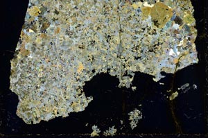 Cross Polarized, S37770