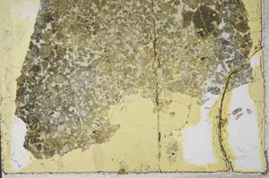 Plane Polarized, S37770