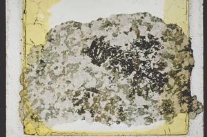 Plane Polarized, S37771