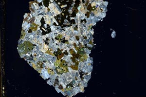 Cross Polarized, S37772