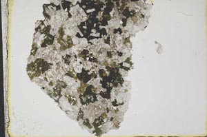 Plane Polarized, S37772