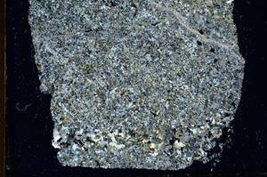 Cross Polarized, S37782