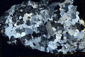 Cross Polarized, S37783