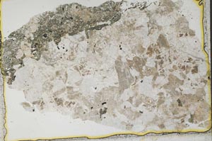 Plane Polarized, S37783