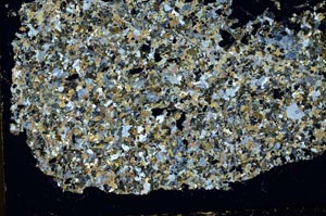 Cross Polarized, S37784