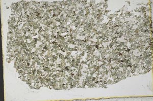 Plane Polarized, S37784