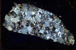 Cross Polarized, S37787