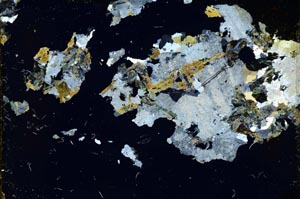 Cross Polarized, S37788