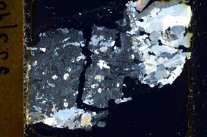 Cross Polarized, S37790