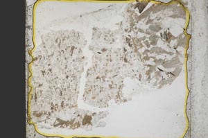 Plane Polarized, S37790