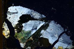 Cross Polarized, S37791