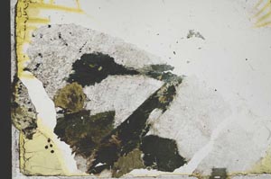 Plane Polarized, S37791