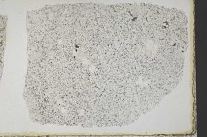 Plane Polarized, S37804