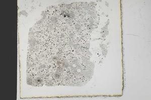 Plane Polarized, S37816