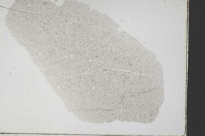 Plane Polarized, S37828