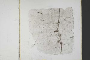 Plane Polarized, S37835