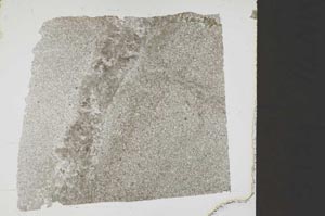 Plane Polarized, S37837