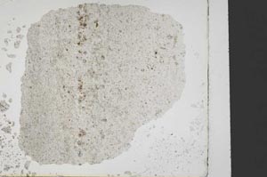 Plane Polarized, S37839