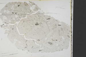 Plane Polarized, S37847
