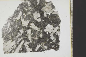 Plane Polarized, S37859
