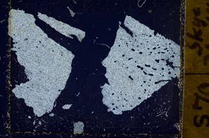 Cross Polarized, S37862