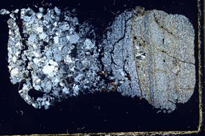 Cross Polarized, S37864