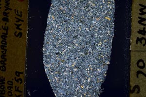 Cross Polarized, S37939