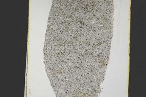 Plane Polarized, S37939