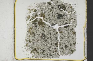 Plane Polarized, S37952