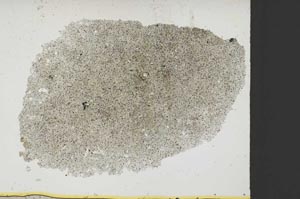 Plane Polarized, S37995