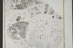 Plane Polarized, S38129
