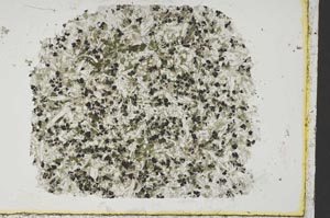 Plane Polarized, S38213