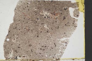 Plane Polarized, S38225