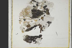 Plane Polarized, S38419