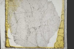 Plane Polarized, S38421