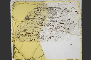 Plane Polarized, S38425