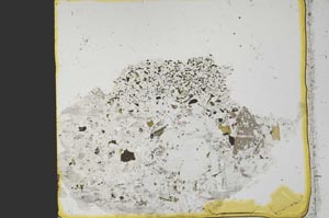 Plane Polarized, S38434