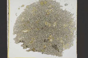 Plane Polarized, S38438