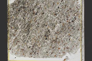 Plane Polarized, S38441