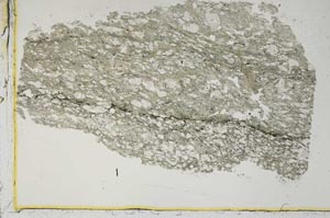 Plane Polarized, S38484