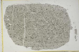 Plane Polarized, S38492