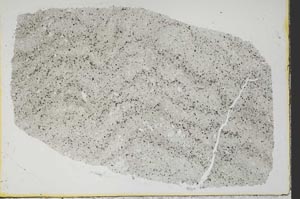 Plane Polarized, S38499