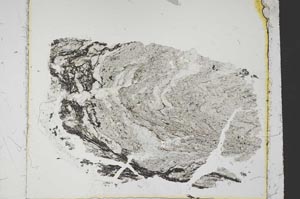 Plane Polarized, S38512