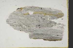 Plane Polarized, S38513