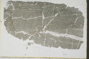 Plane Polarized, S38515