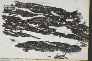 Plane Polarized, S38516